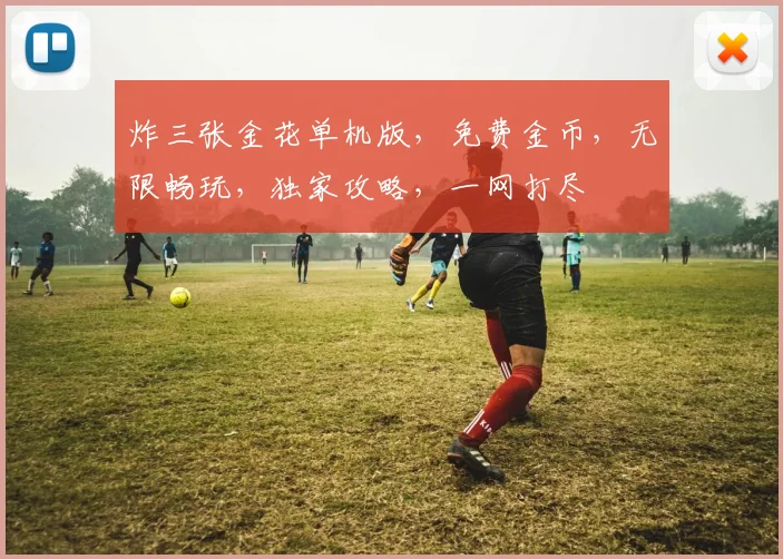 炸三张金花单机版，免费金币，无限畅玩，独家攻略，一网打尽