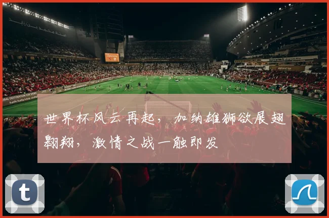 世界杯风云再起，加纳雄狮欲展翅翱翔，激情之战一触即发