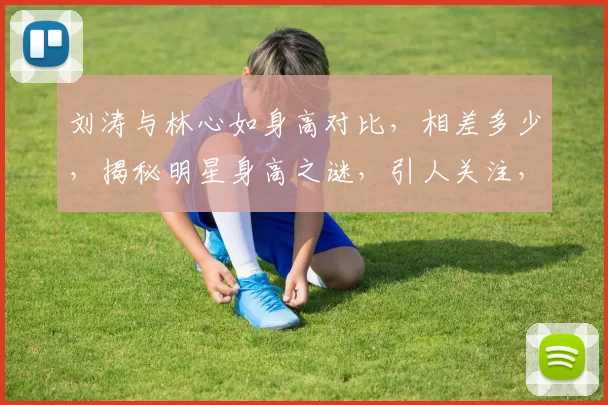 刘涛与林心如身高对比，相差多少，揭秘明星身高之谜，引人关注，三款对比方式大揭秘