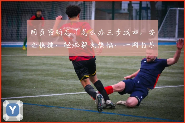 网页密码忘了怎么办三步找回，安全快捷，轻松解决烦恼，一网打尽