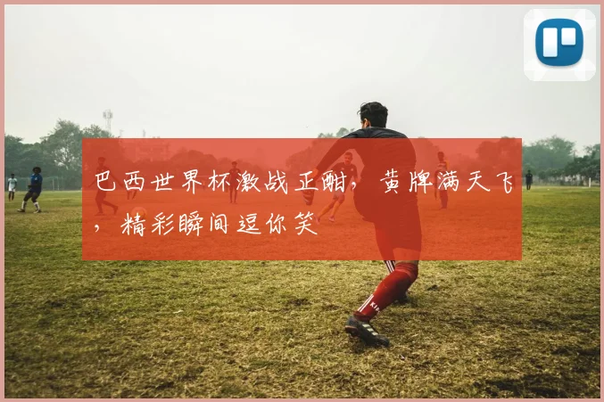 巴西世界杯激战正酣，黄牌满天飞，精彩瞬间逗你笑